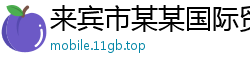 来宾市某某国际贸易维修网点